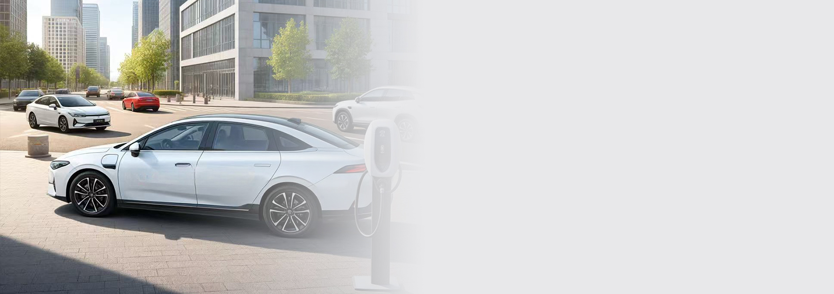 78m���Ź���(����)�й������޹�˾