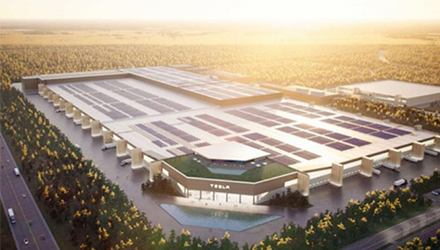 78m威九国际(集团)中国区有限公司