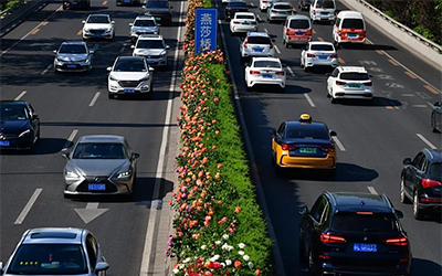 78m威九国际(集团)中国区有限公司