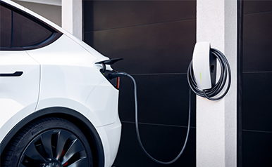 78m���Ź���(����)�й������޹�˾